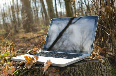Computer i skov